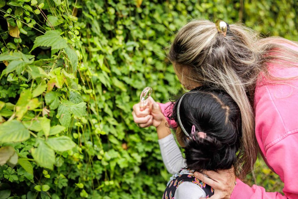 KinderRijk BSO Asserring